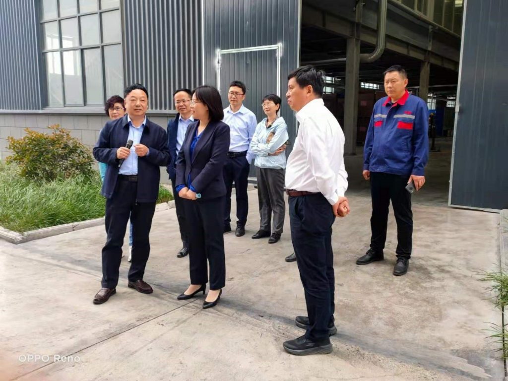 中国橡胶工业协会会长徐文英一行莅临公司指导